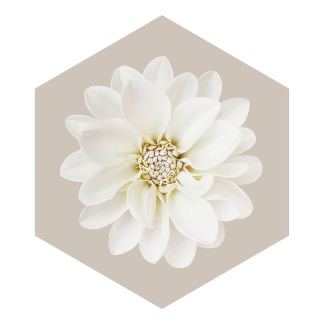 Self-adhesive hexagonal pattern wallpaper - White Dahlia On Cream