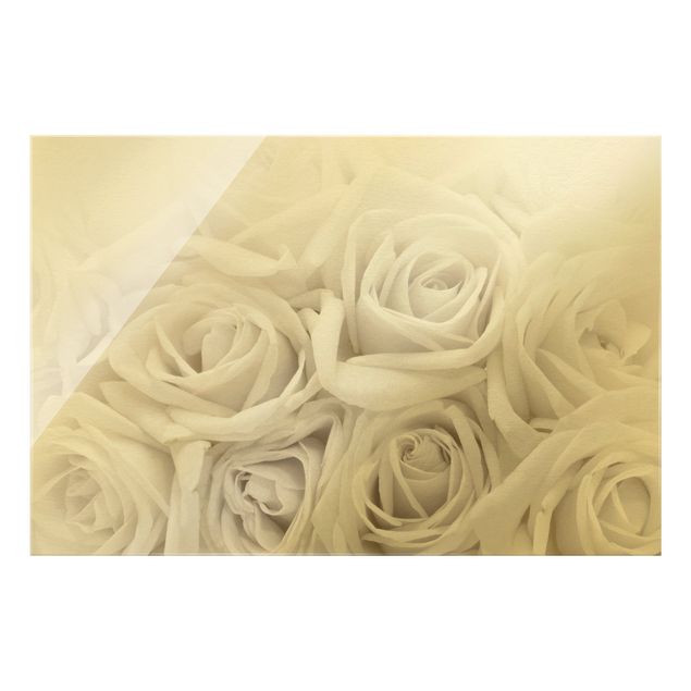 Glass print - White Roses - Landscape format