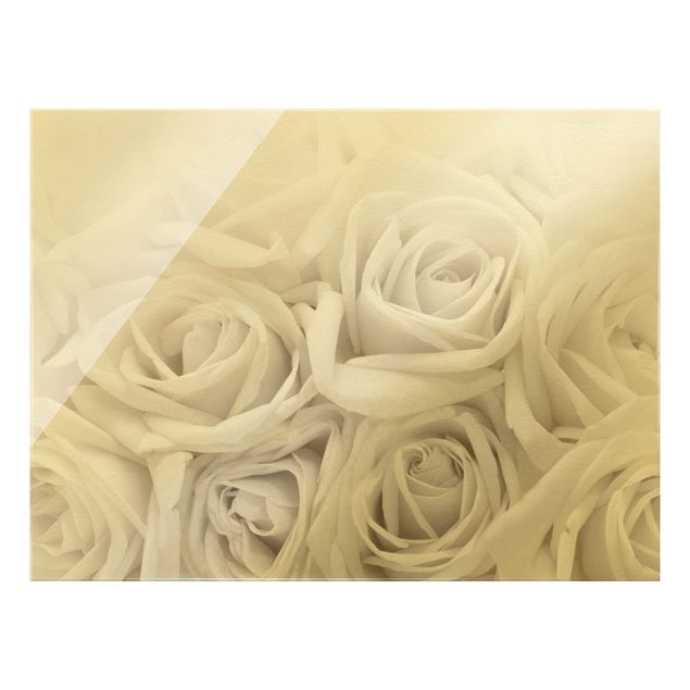 Glass print - White Roses - Landscape format