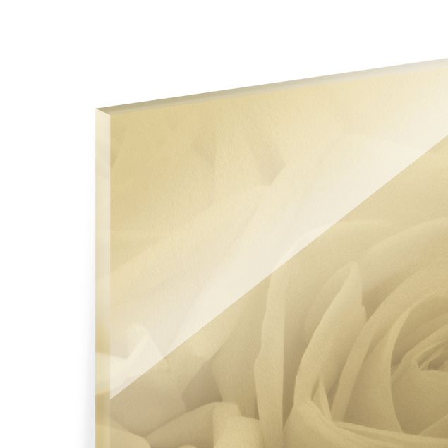 Glass print - White Roses - Portrait format