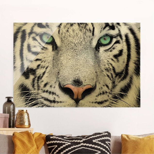Glass print - White Tiger - Landscape format