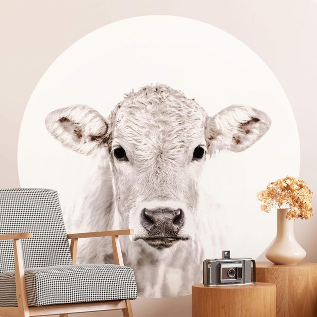Self-adhesive round wallpaper - White Calf