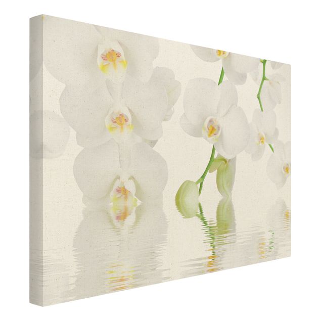 Natural canvas print - Spa Orchid - White Orchid - Landscape format 4:3
