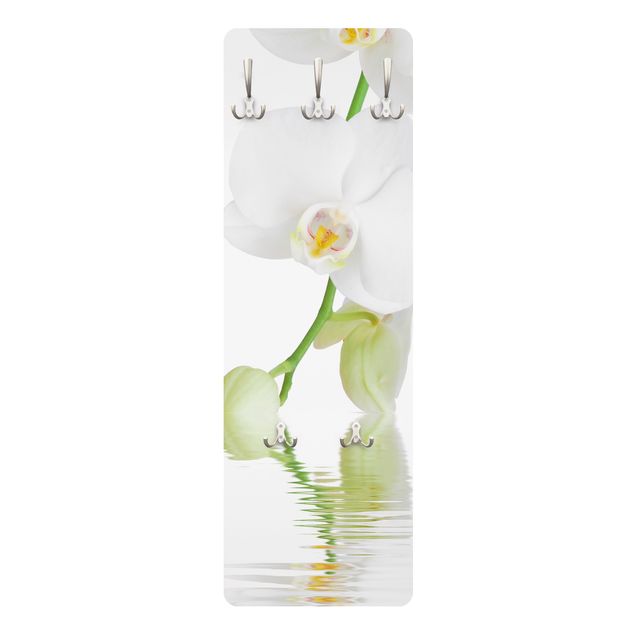 Coat rack flowers - Spa Orchid - White Orchid