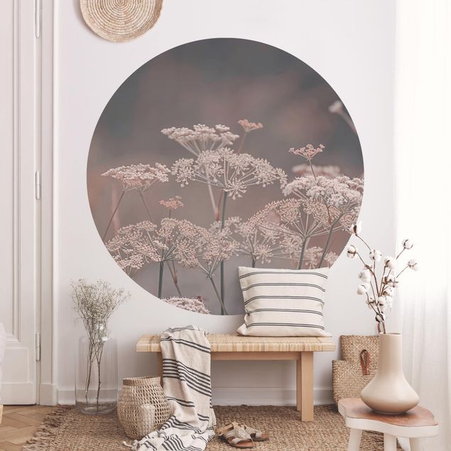 Self-adhesive round wallpaper - Wild Apiaceae