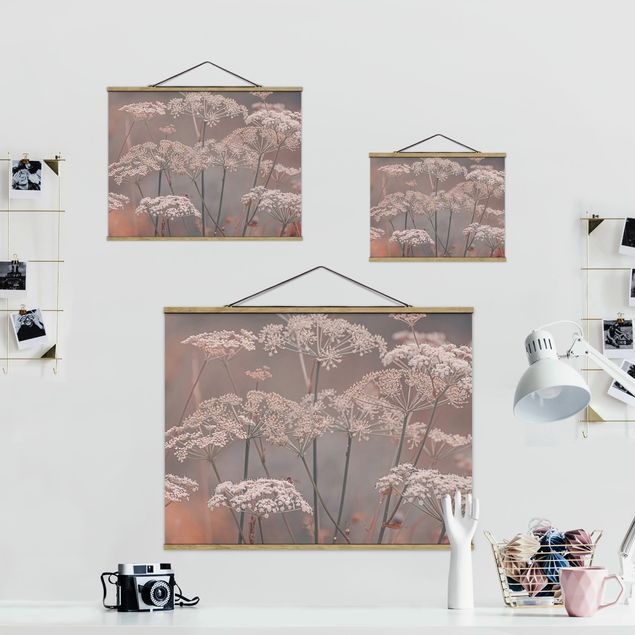 Fabric print with poster hangers - Wild Apiaceae - Landscape format 4:3