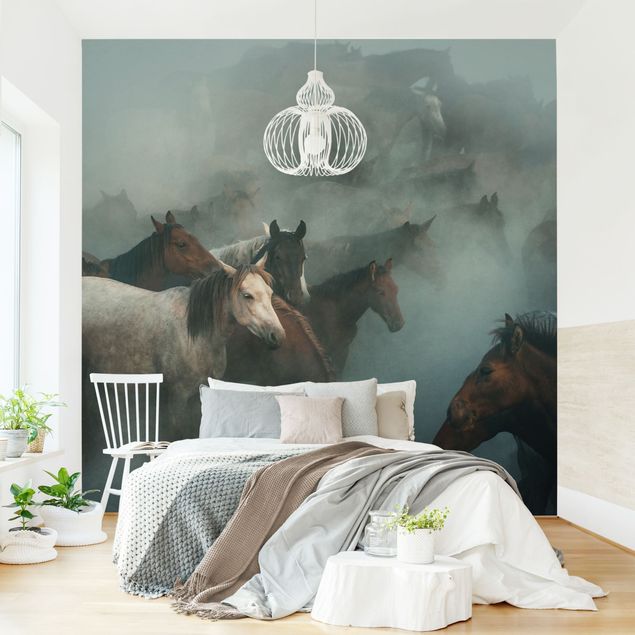 Wallpaper - Wild Horses