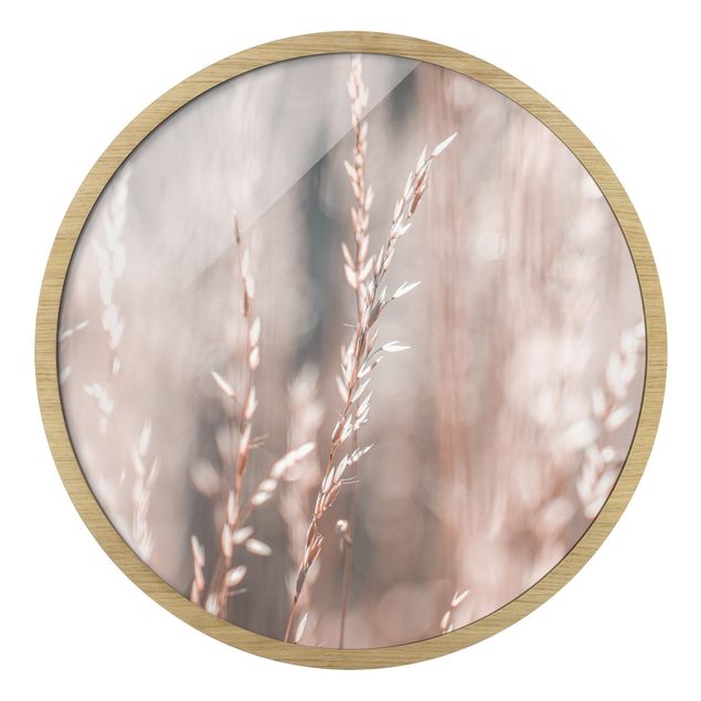 Circular framed print - Wild Meadow