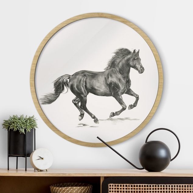 Framed prints round Study Of Wild Horses - Stallion