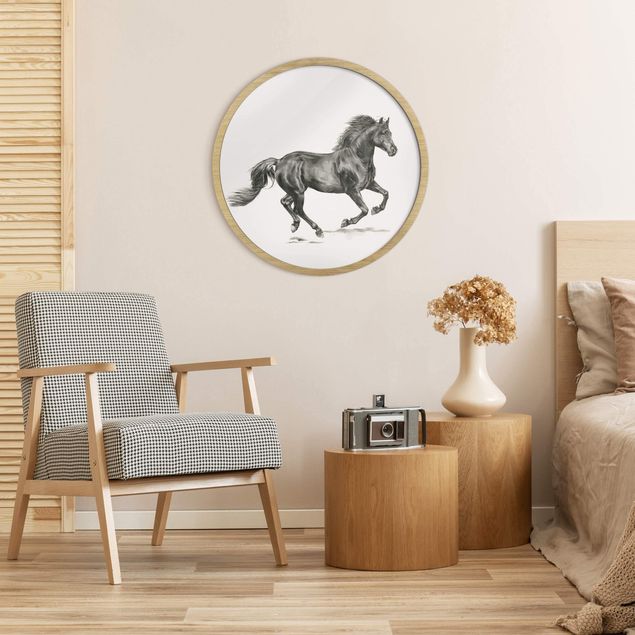 Circular framed print - Study Of Wild Horses - Stallion