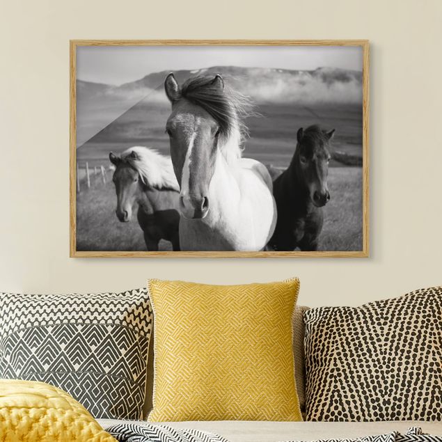 Framed poster - Wild Horses Black And White