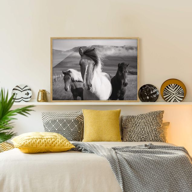 Framed poster - Wild Horses Black And White