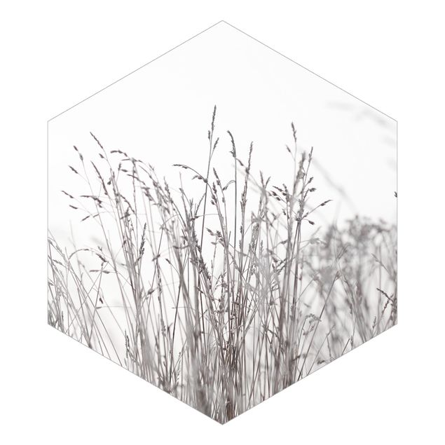 Self-adhesive hexagonal pattern wallpaper - Winter Grasses