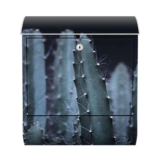 Letterbox - Desert Cactus At Night