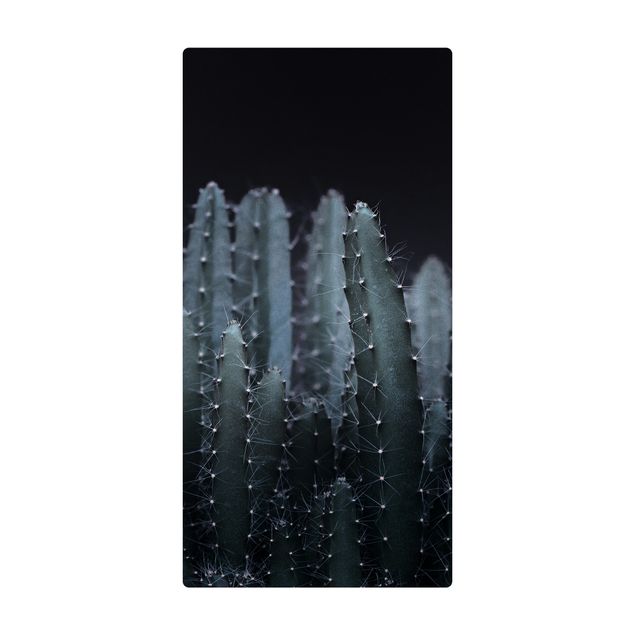Large rugs Desert Cactus At Night