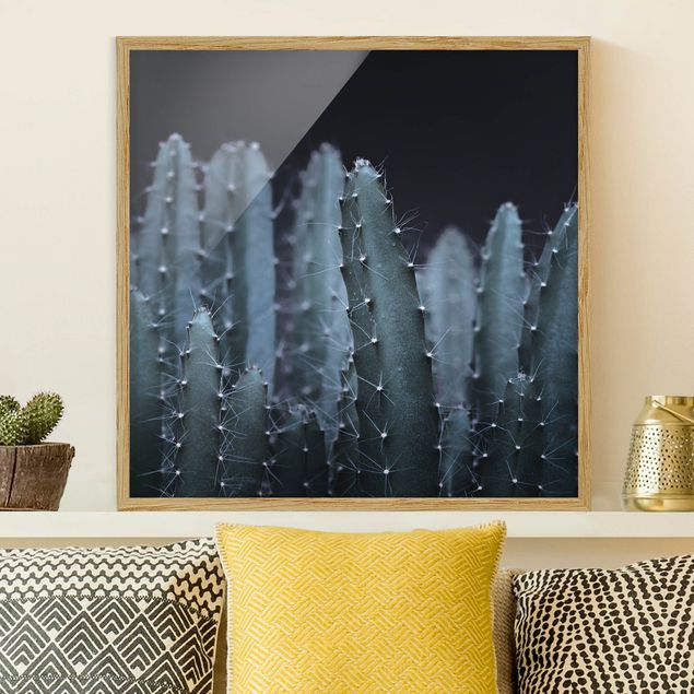 Framed poster - Desert Cactus At Night