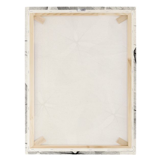 Natural canvas print - X-Ray - False Shamrock With Cloth - Portrait format 3:4