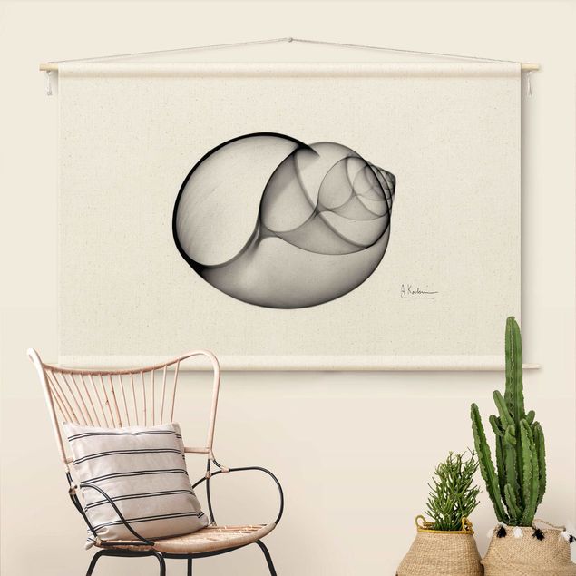 extra large tapestry wall hangings X-Ray - Big Periwinkles