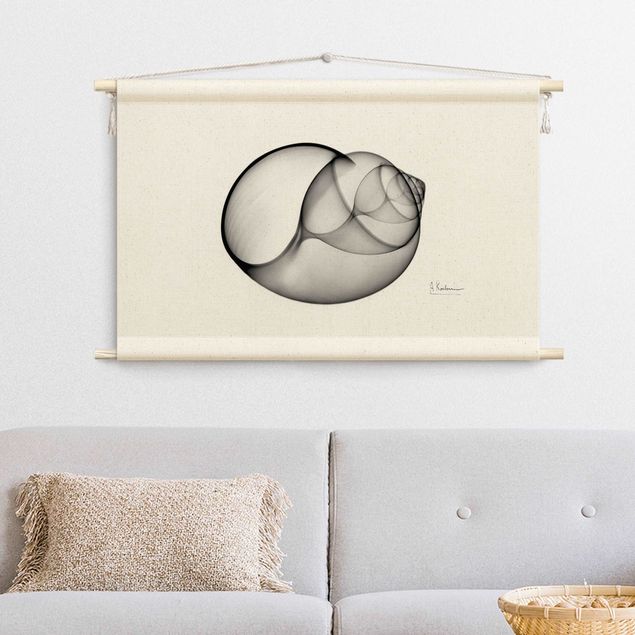 wall hanging decor X-Ray - Big Periwinkles