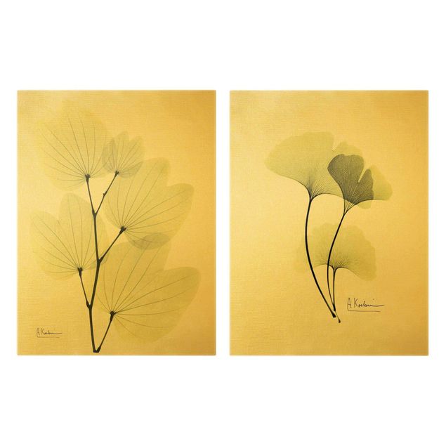 Print on canvas - X-Ray - Orchid Tree Leaves & Ginkgo