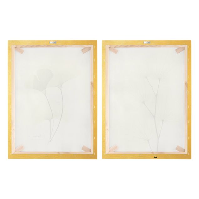 Print on canvas - X-Ray - Orchid Tree Leaves & Ginkgo
