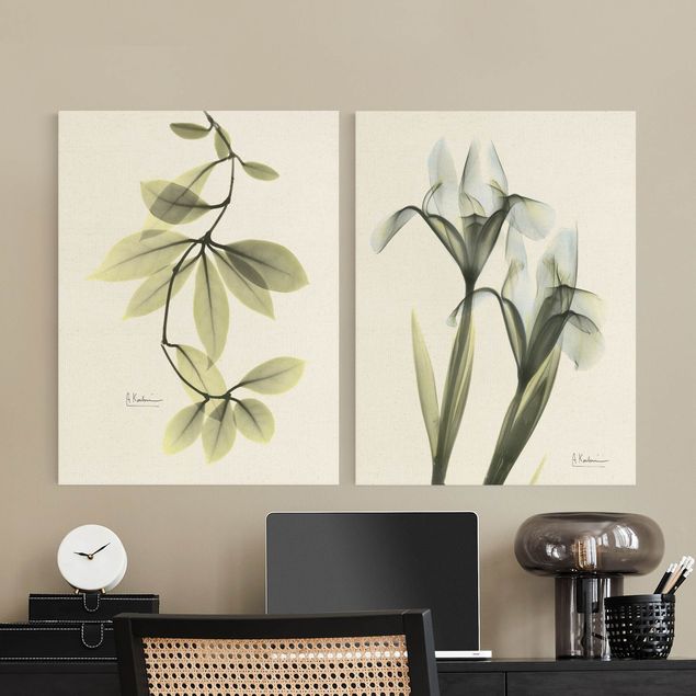 Print on canvas - X-Ray - Hoya Leaves & Iris