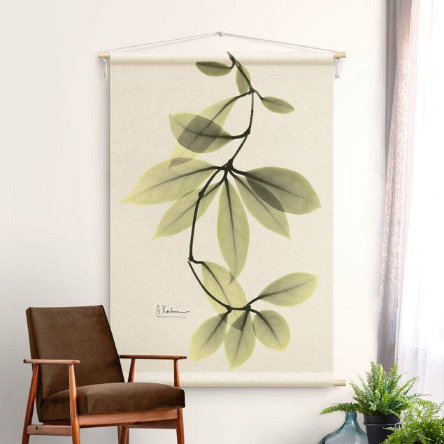 modern tapestry wall hanging X-Ray - Hoya Leaves