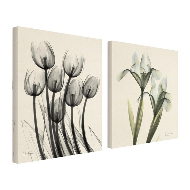 Print on canvas - X-Ray - Tulips & Iris