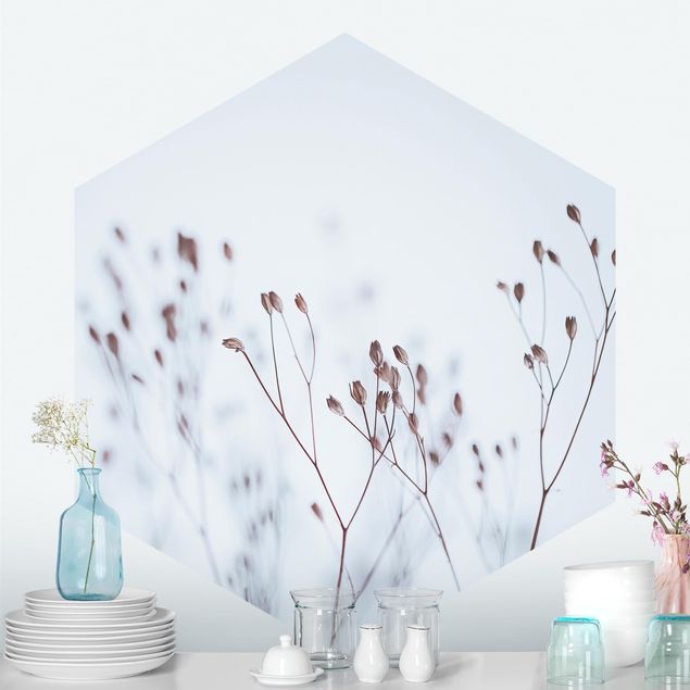 Wallpapers Pale Blue Wild Flowers