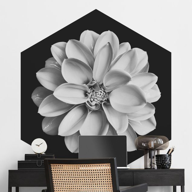 Wallpapers Delicate Dahlia In Black And White