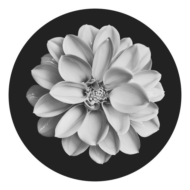 Self-adhesive round wallpaper - Delicate Dahlia In Black And White