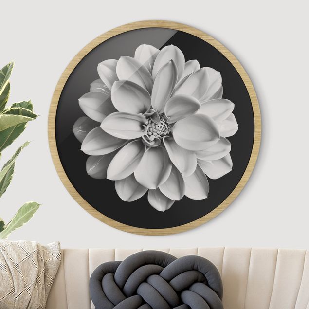 Framed prints round Delicate Dahlia In Black And White