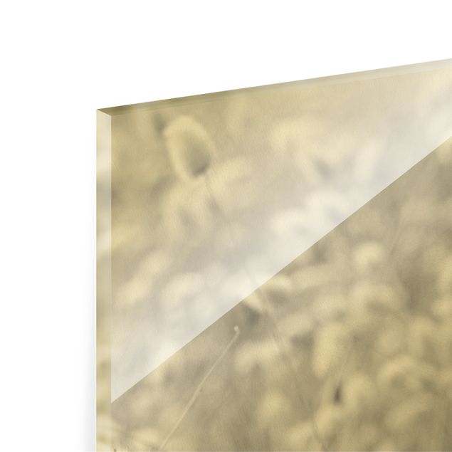 Glass print - Delicate Grasses II - Panorama