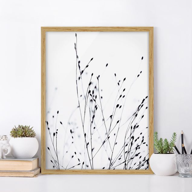 Framed poster - Soft Grasses In Nearby Shadow