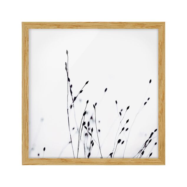 Framed poster - Soft Grasses In Nearby Shadow
