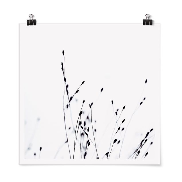 Poster - Soft Grasses In Nearby Shadow