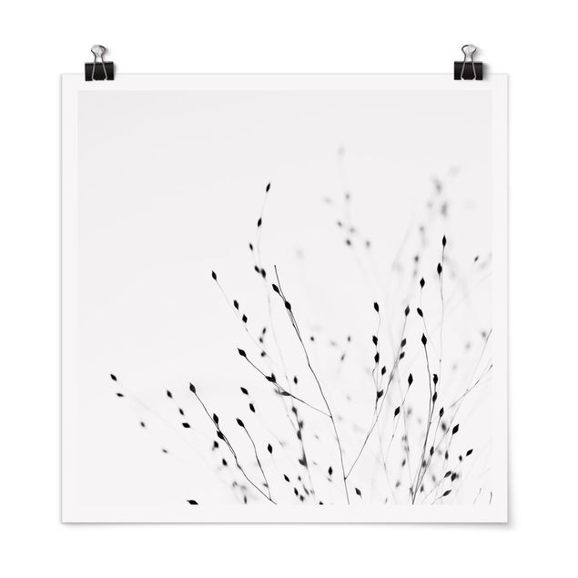 Poster - Soft Grasses In Shadow