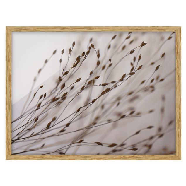 Framed poster - Soft Grasses In Slipstream