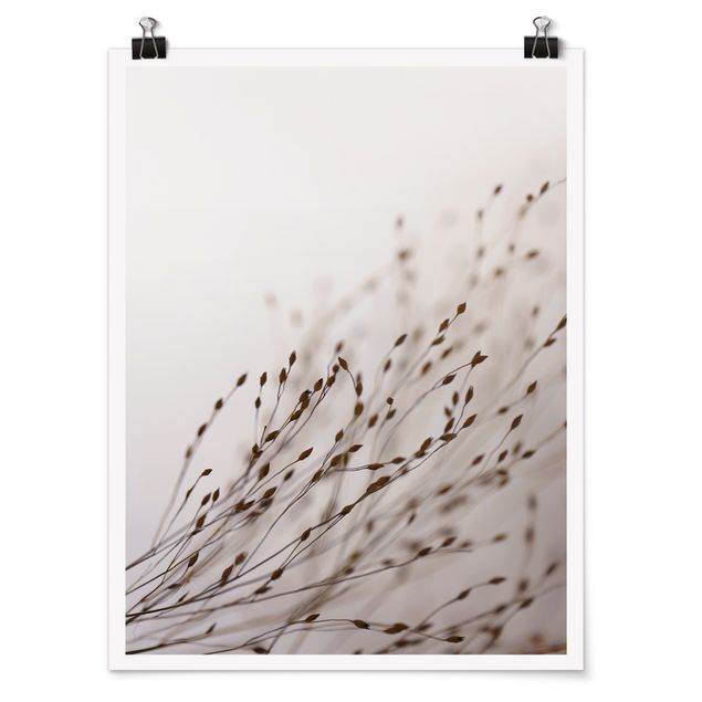 Poster - Soft Grasses In Slipstream