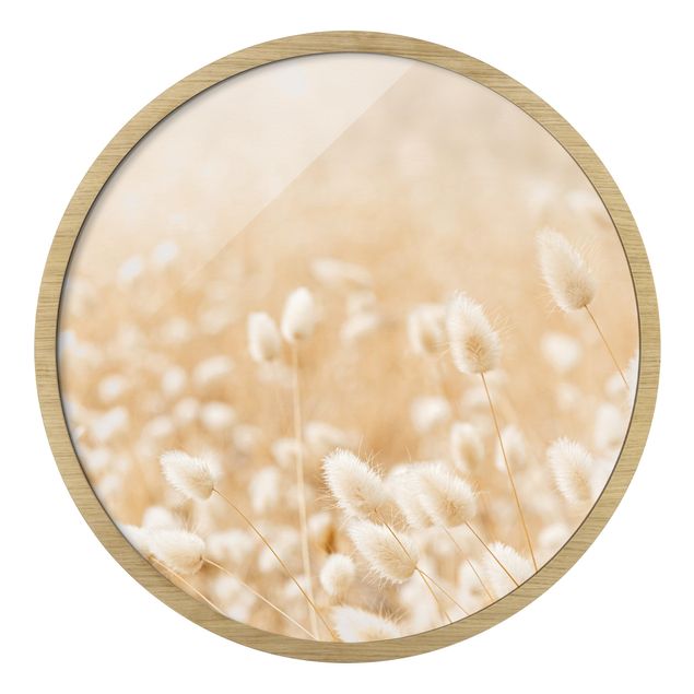 Circular framed print - Delicate Grasses