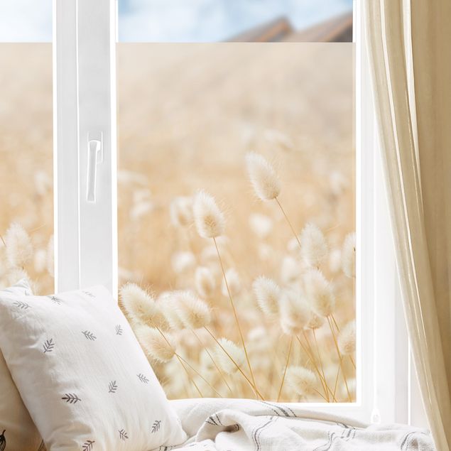 Window decoration - Delicate Grasses