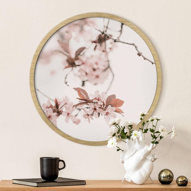 Framed prints round Delicate Cherry Blossoms On A Twig