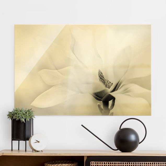 Glass print - Delicate Magnolia Flowers Black and White - Landscape format