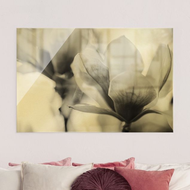 Glass print - Delicate Magnolia Flowers II - Landscape format