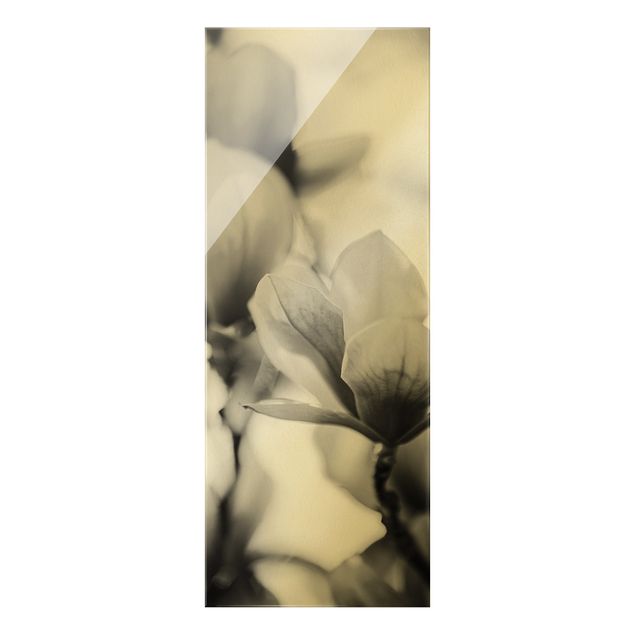 Glass print - Delicate Magnolia Flowers II - Portrait format