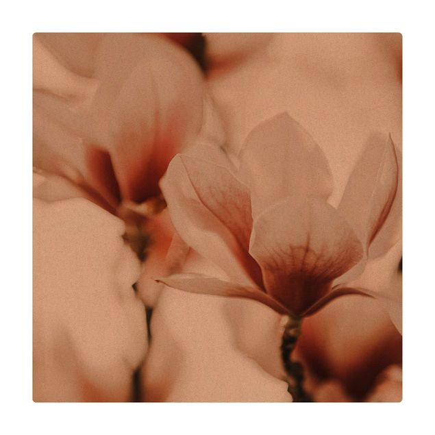 Cork mat - Delicate Magnolia Flowers In An Interplay Of Light And Shadows - Square 1:1