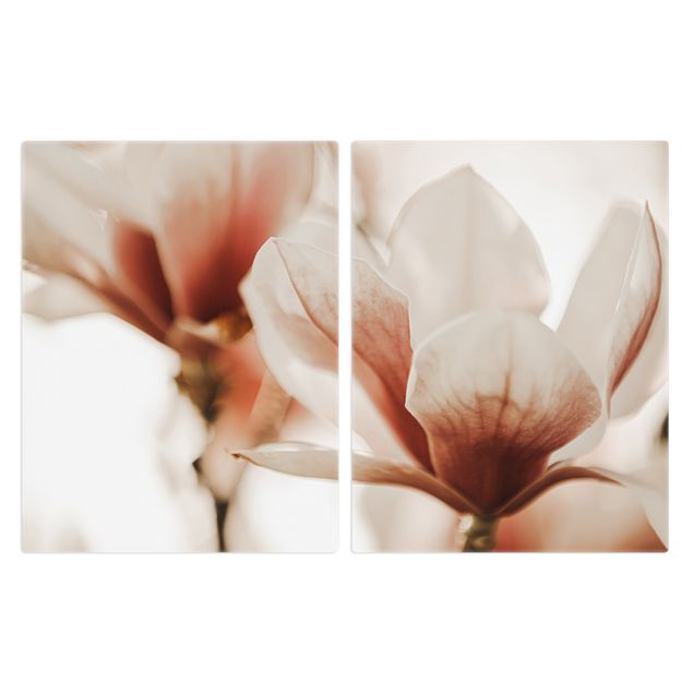 Stove top covers - Delicate Magnolia Flowers In An Interplay Of Light And Shadows