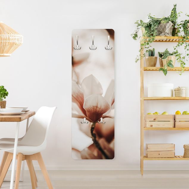 Coat rack modern - Delicate Magnolia Flowers In An Interplay Of Light And Shadows