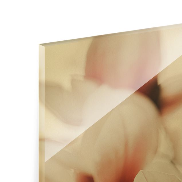 Glass print - Delicate Magnolia Flowers In An Interplay Of Light And Shadows - Portrait format