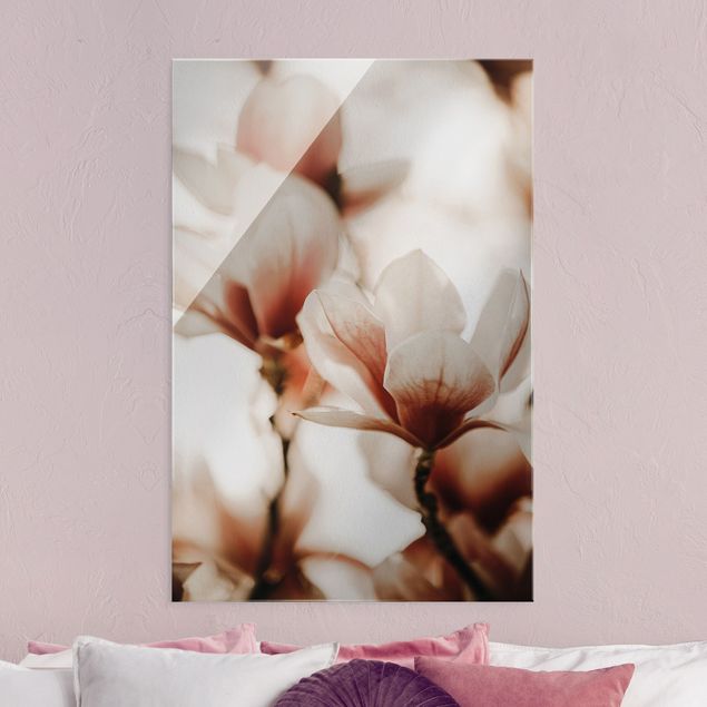 Glass print - Delicate Magnolia Flowers In An Interplay Of Light And Shadows